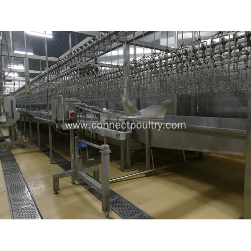 Automatic poultry slaughtering equipment